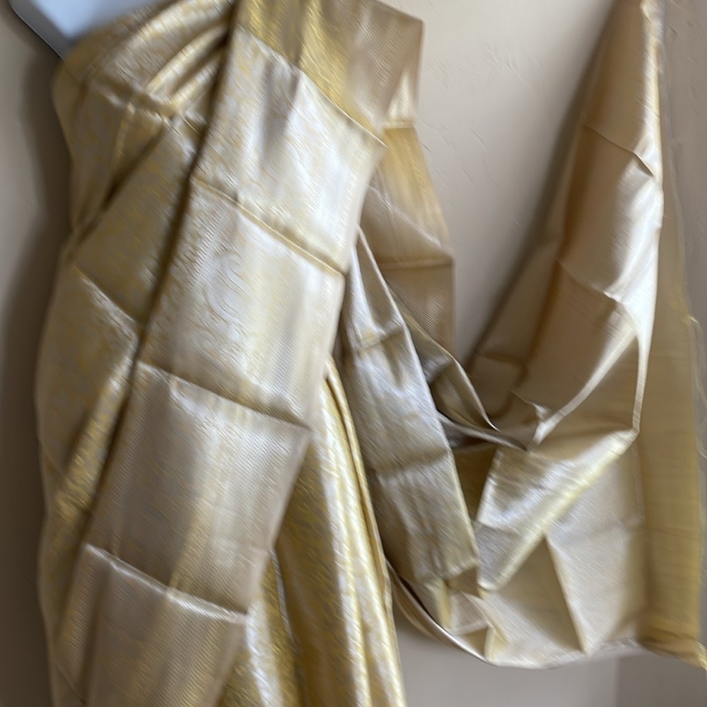 Indian saree - Picture 8 of 15